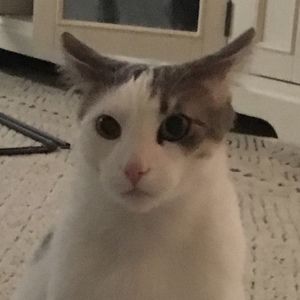 Meet your Posher, Randy